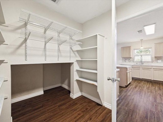 spacious closet featuring sink and dark hardwood / wood-style floors