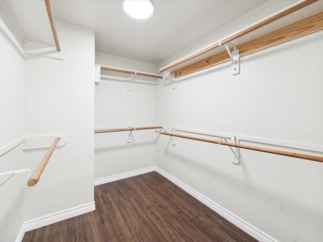 walk in closet featuring dark hardwood / wood-style flooring