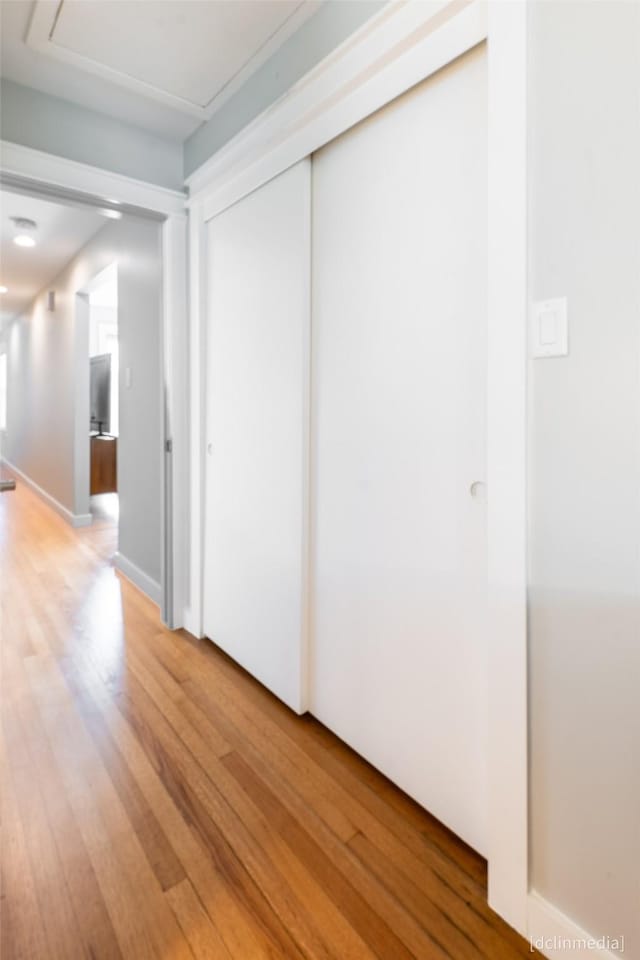 interior space featuring hardwood / wood-style flooring