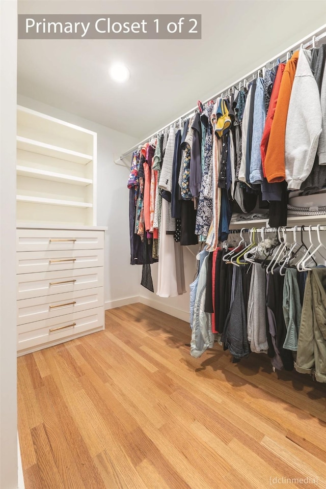 spacious closet with wood-type flooring