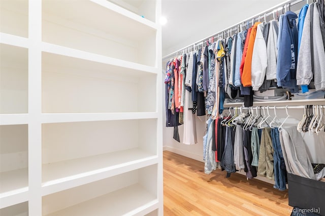 walk in closet featuring wood-type flooring