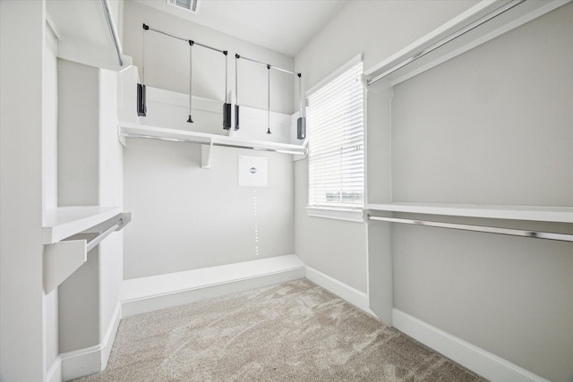 interior space featuring a wealth of natural light and light carpet