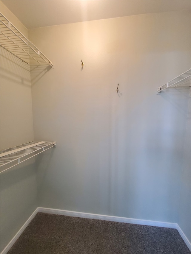 2030 Plantation Dr Unit B-2, Conroe, TX 77301 - spacious closet with dark colored carpet