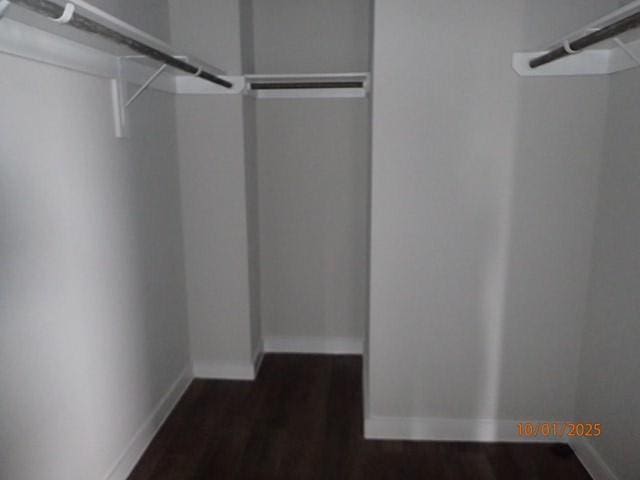 spacious closet with dark wood-type flooring