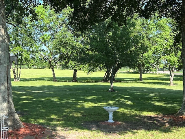 view of community with a lawn