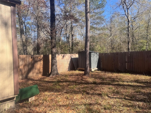 view of yard featuring a storage unit