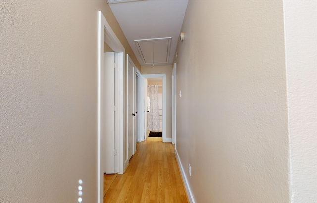 hallway with light hardwood / wood-style flooring