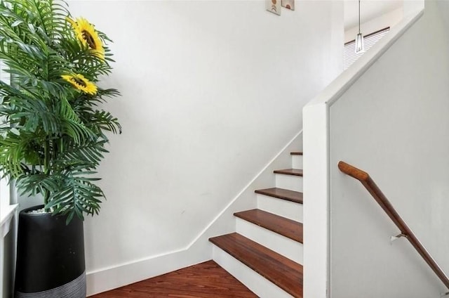 stairway featuring hardwood / wood-style flooring