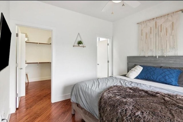 bedroom featuring a walk in closet, a closet, ceiling fan, and dark wood-type flooring