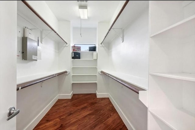 walk in closet featuring dark wood-type flooring