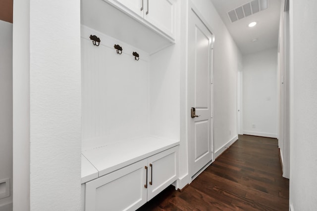 mudroom with dark wood-type flooring