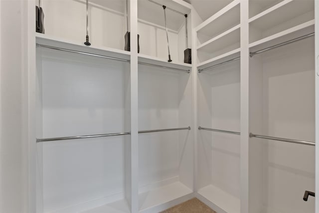 view of spacious closet