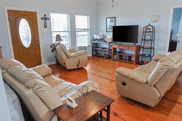 living room featuring hardwood / wood-style flooring