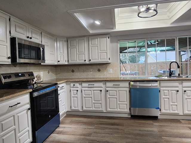 kitchen with appliances with stainless steel finishes, white cabinets, a tray ceiling, and sink