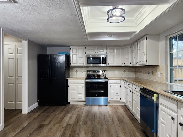 kitchen with a raised ceiling, stainless steel appliances, and white cabinetry