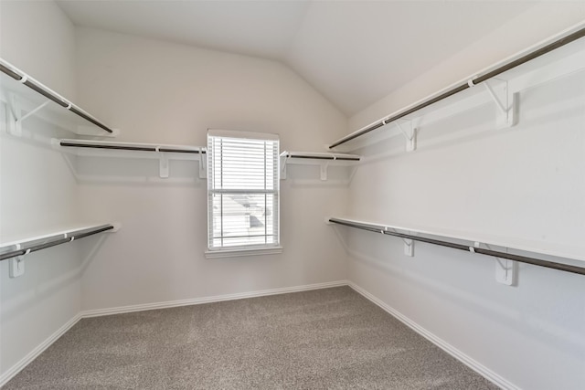 walk in closet with carpet and vaulted ceiling