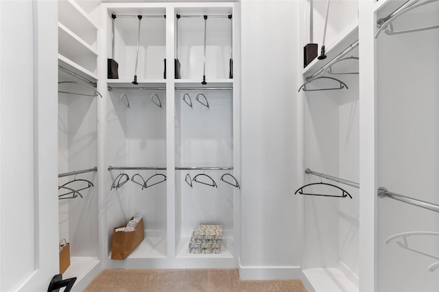 view of walk in closet