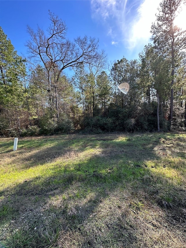 Listing photo 3 for 2-6-68 Hereford Trl, Huntsville TX 77340