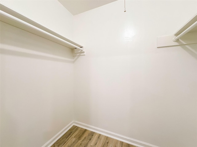 walk in closet with hardwood / wood-style floors