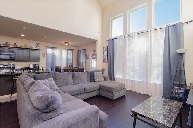 living room featuring a high ceiling, dark hardwood / wood-style floors, and sink