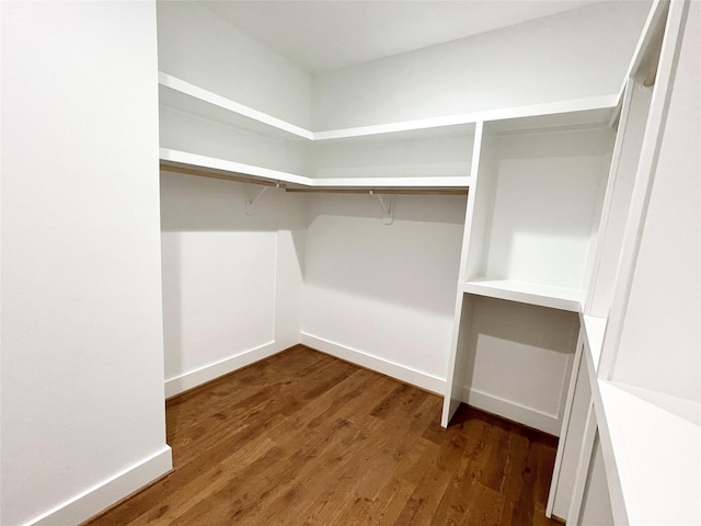 walk in closet with dark wood-type flooring