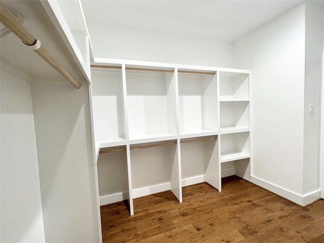 spacious closet with hardwood / wood-style floors