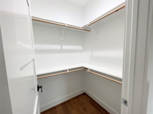 spacious closet with dark wood-type flooring