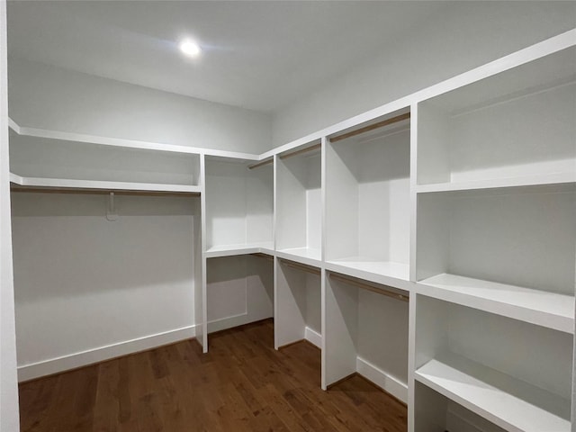 spacious closet with dark wood-type flooring