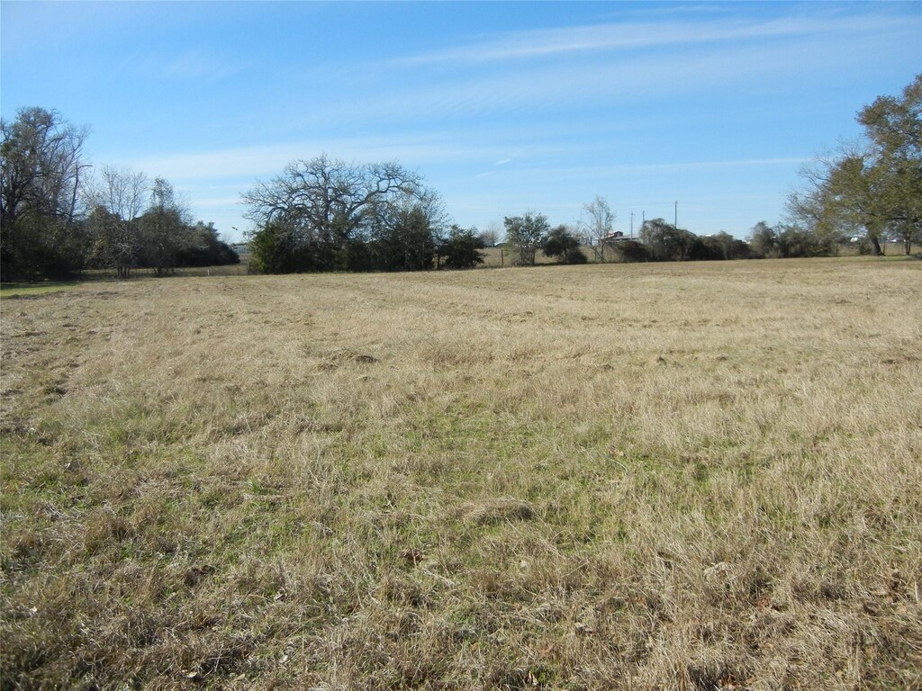 135 Lawrence Marshall Dr, Hempstead, TX 77445 - photo 2