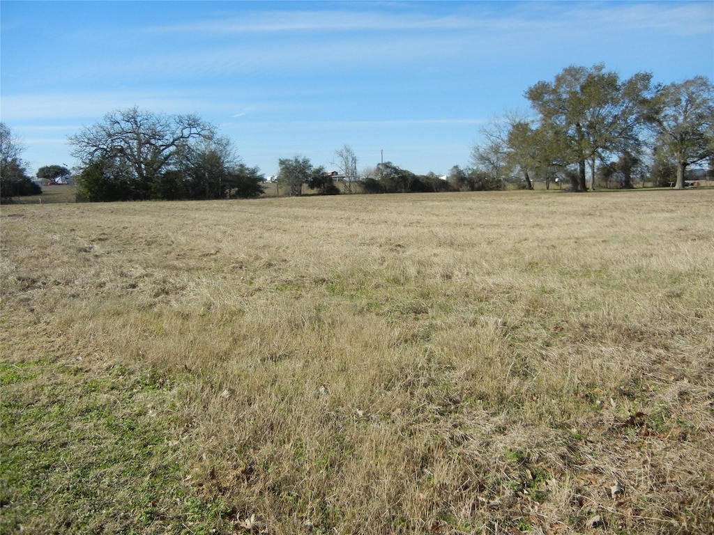 135 Lawrence Marshall Dr, Hempstead, TX 77445 - photo 3