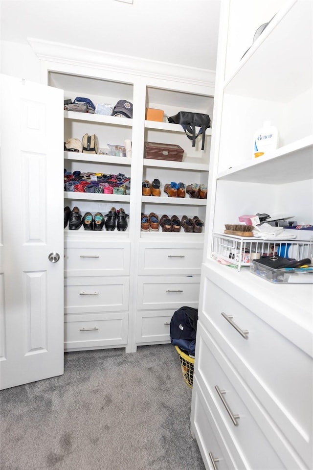 walk in closet with light colored carpet