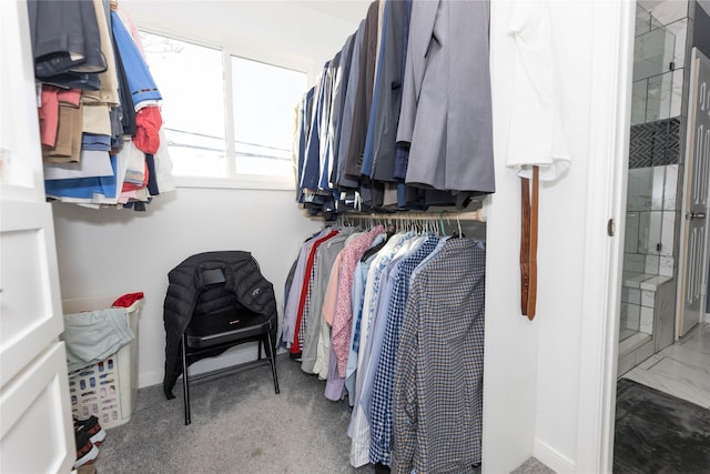 walk in closet with carpet floors