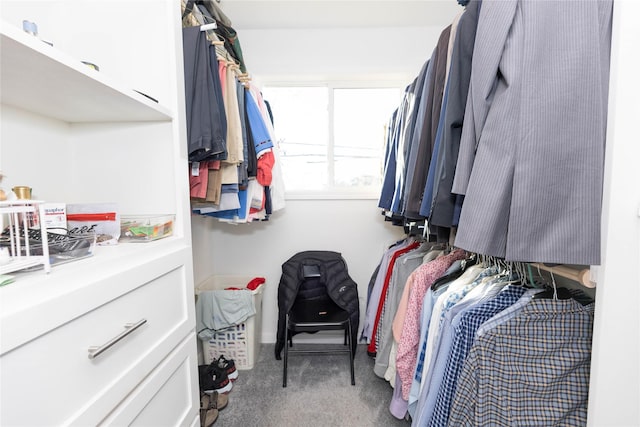 walk in closet with light carpet