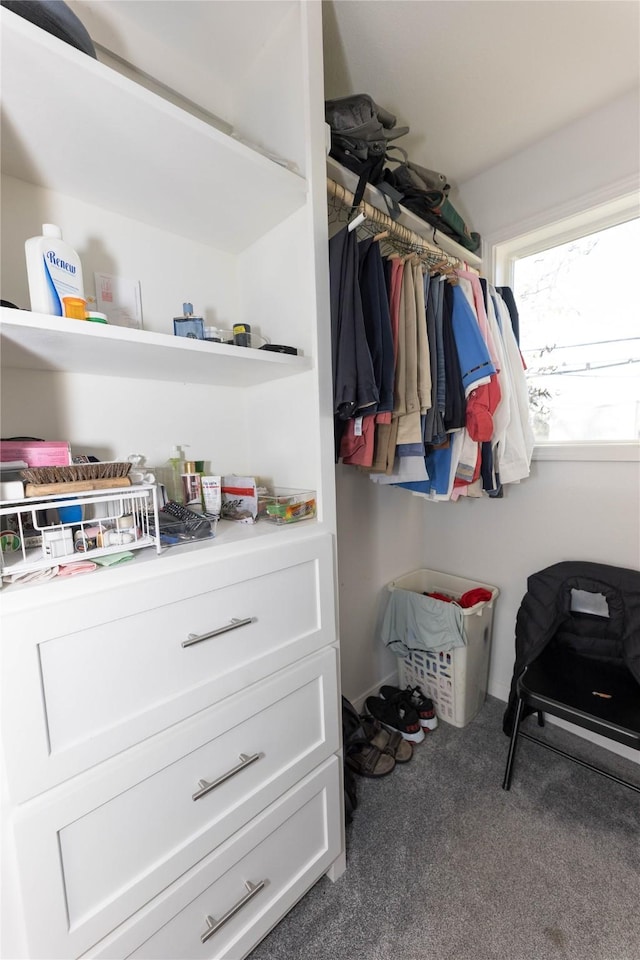 walk in closet with dark carpet