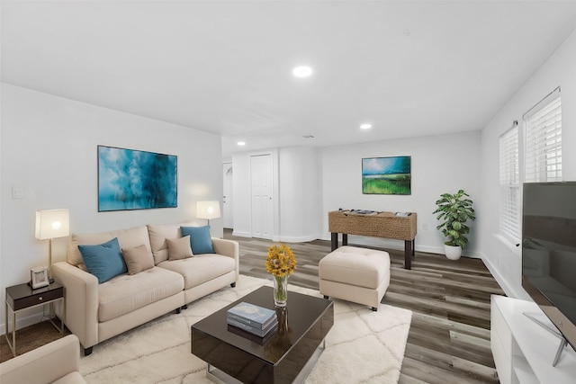 living room featuring hardwood / wood-style flooring