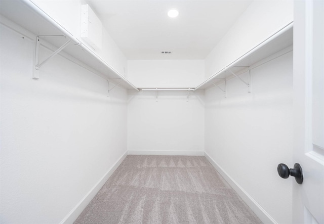 spacious closet featuring carpet flooring