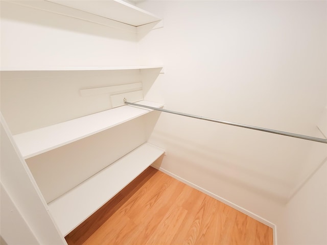 walk in closet featuring wood-type flooring