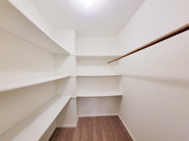 spacious closet with carpet flooring