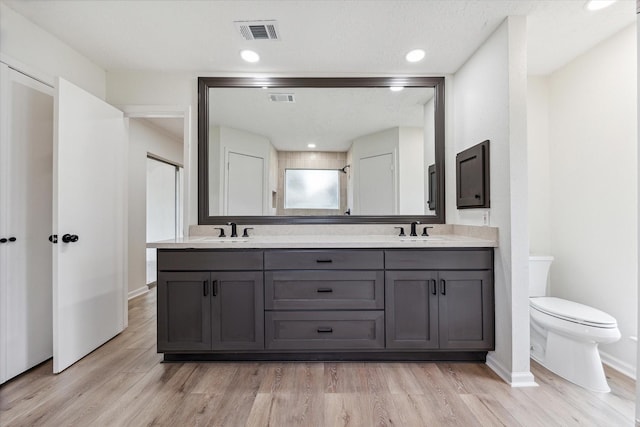 bathroom with vanity, wood-type flooring, and toilet