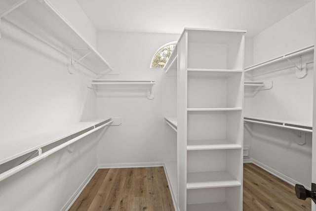 spacious closet with hardwood / wood-style flooring