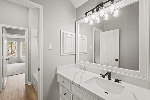 bathroom with hardwood / wood-style floors, vanity, and toilet