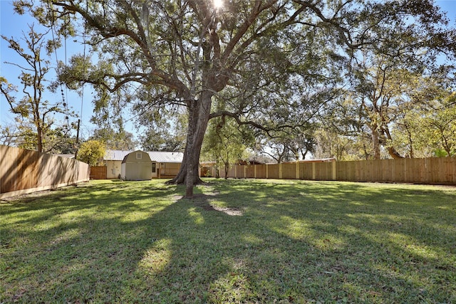 view of yard with a shed