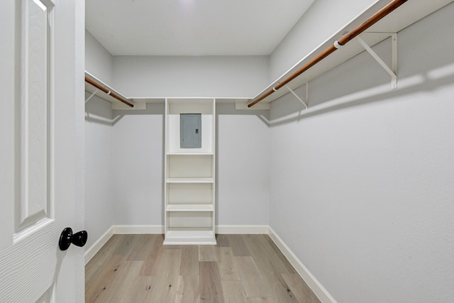 spacious closet featuring electric panel and light hardwood / wood-style flooring