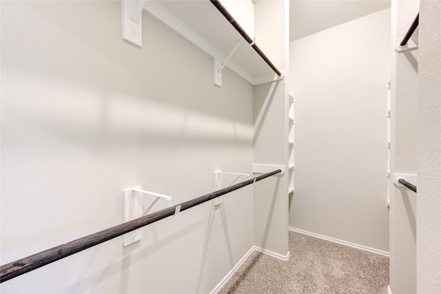 walk in closet with light colored carpet