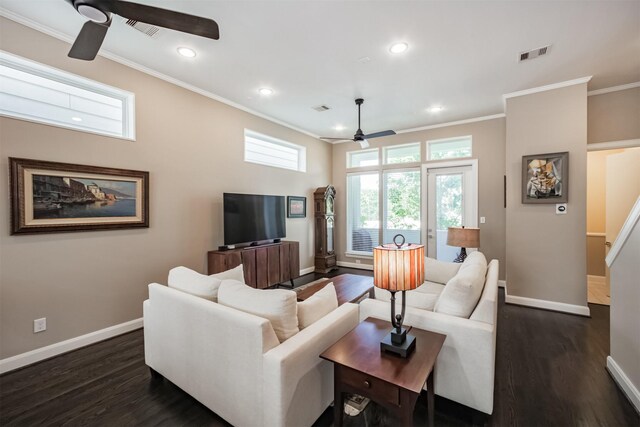 living room featuring crown molding and dark hardwood / wood-style floors