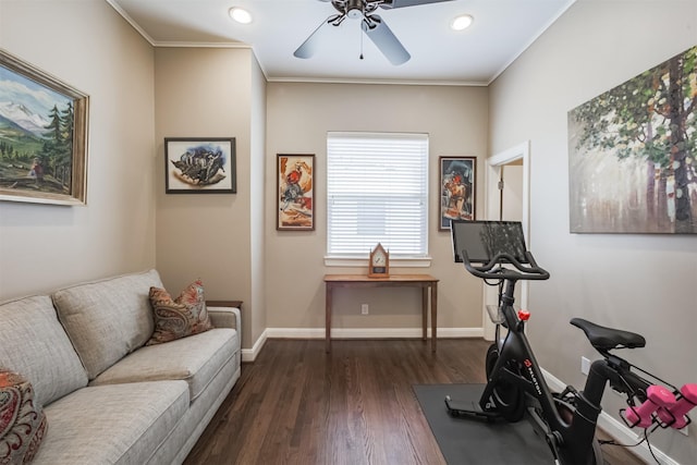 workout area with crown molding, ceiling fan, and dark wood-type flooring