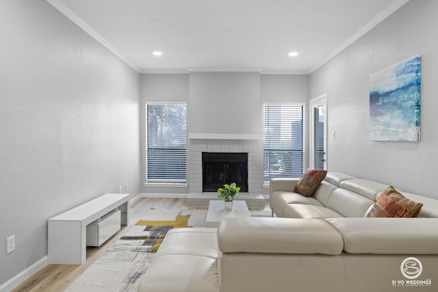 living room featuring crown molding, a fireplace, and light wood-type flooring