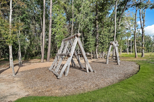 view of jungle gym