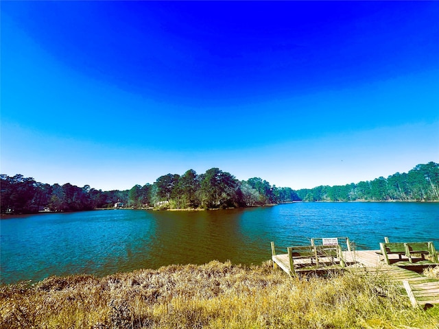 view of water feature featuring a dock