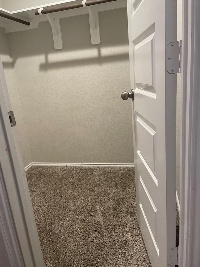 walk in closet featuring carpet